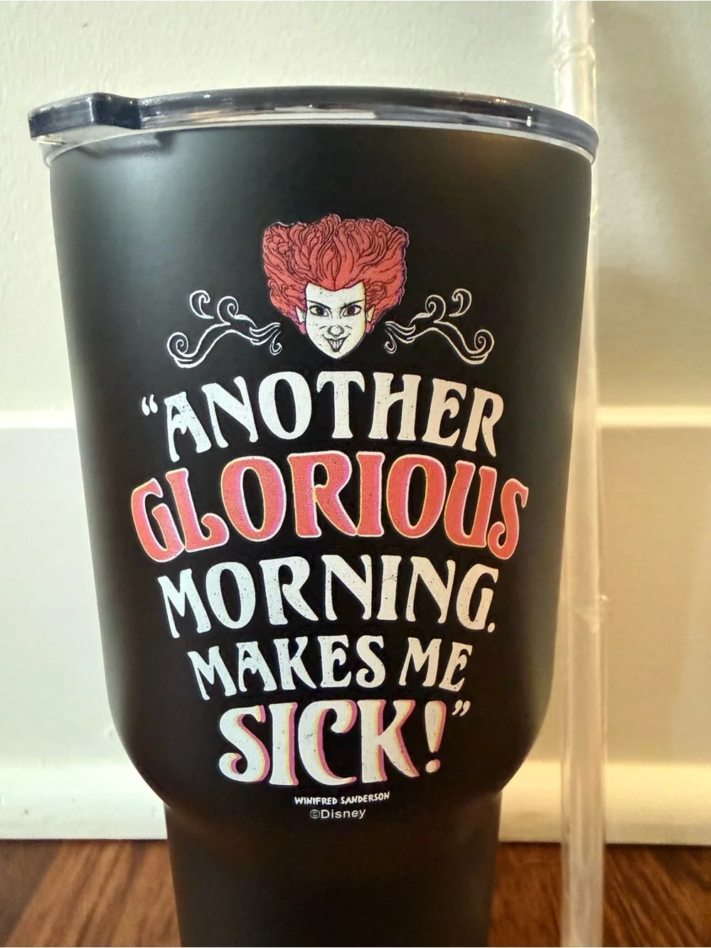 Disney's Hocus Pocus Halloween Tumbler Straw cup water stainless 27oz NEW
